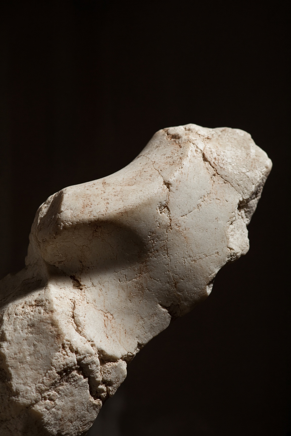 Broken marble fragment of a clavicle and shoulder in raking museum light.
