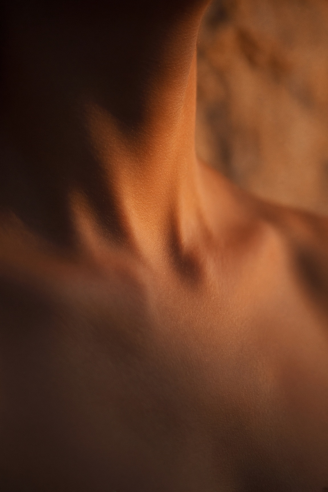 Terracotta dawn light across a living collarbone and the hollow of a throat, no face.